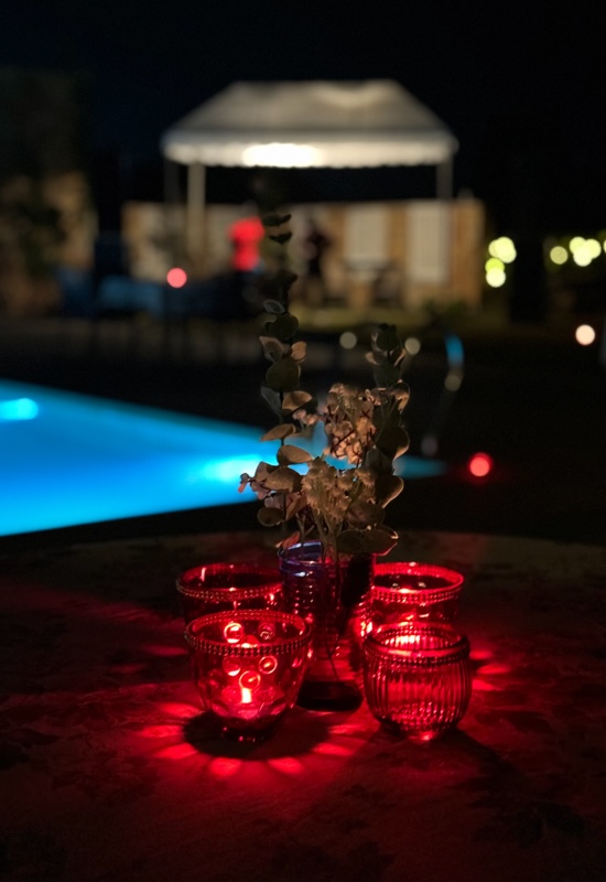 Sariska Safari Lodge - Pool side dinner